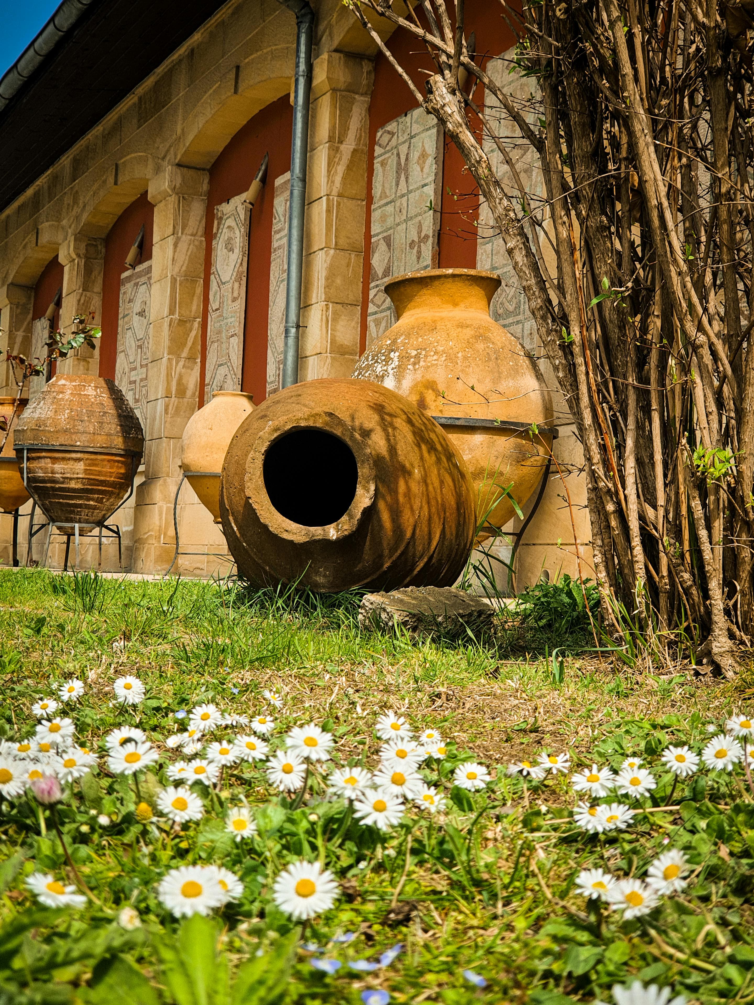 Kakheti 3