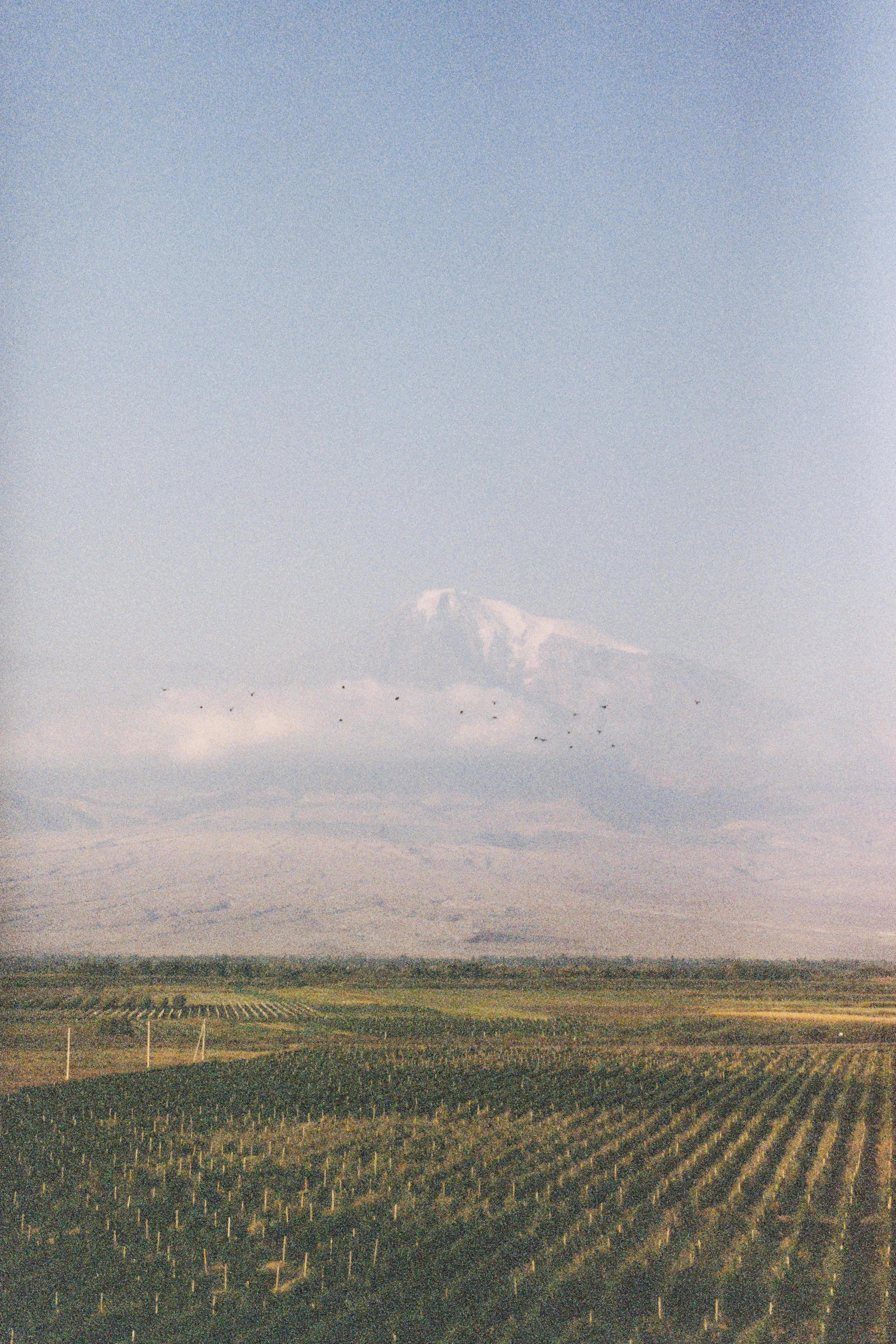 Kakheti 7