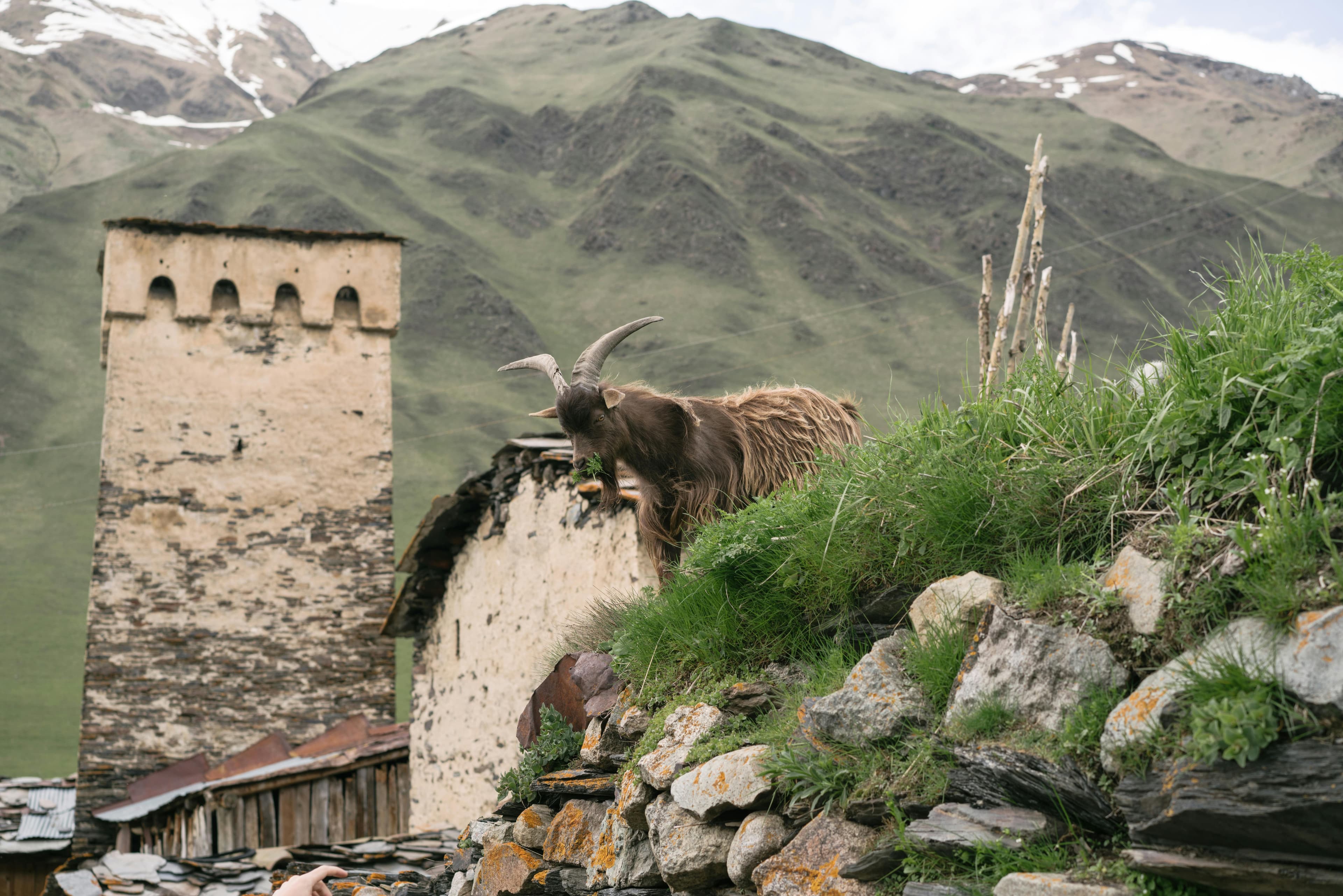 Svaneti 3